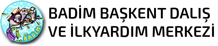 badim logo4