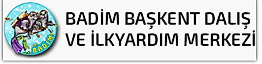 badim logos