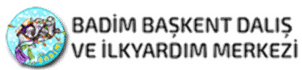 badim-logo-mobil